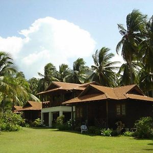 D'Coconut Island Resort